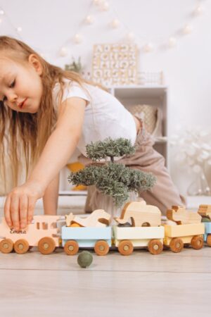 Personalized Train With Dinosaurs. Dinosaur Birthday Gift. Sensory Toys For Toddlers. Wooden Train With Name. Fidget Toys. Baby Boy Gifts.